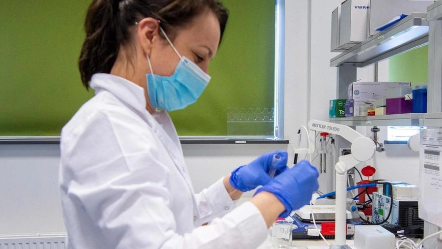 Una tecnica di laboratorio al lavoro per sviluppare un vaccino anti Covid
