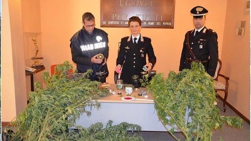 il comandante dei carabinieri Silvia Guerrini con le piante sequestrate
