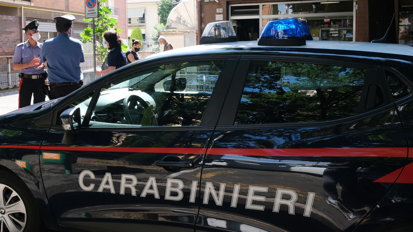 I carabinieri hanno denunciato i due minorenni per concorso in furto aggravato