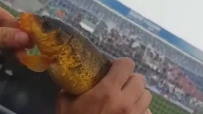 Un fermo immagine dal video della pesca allo stadio Mapei