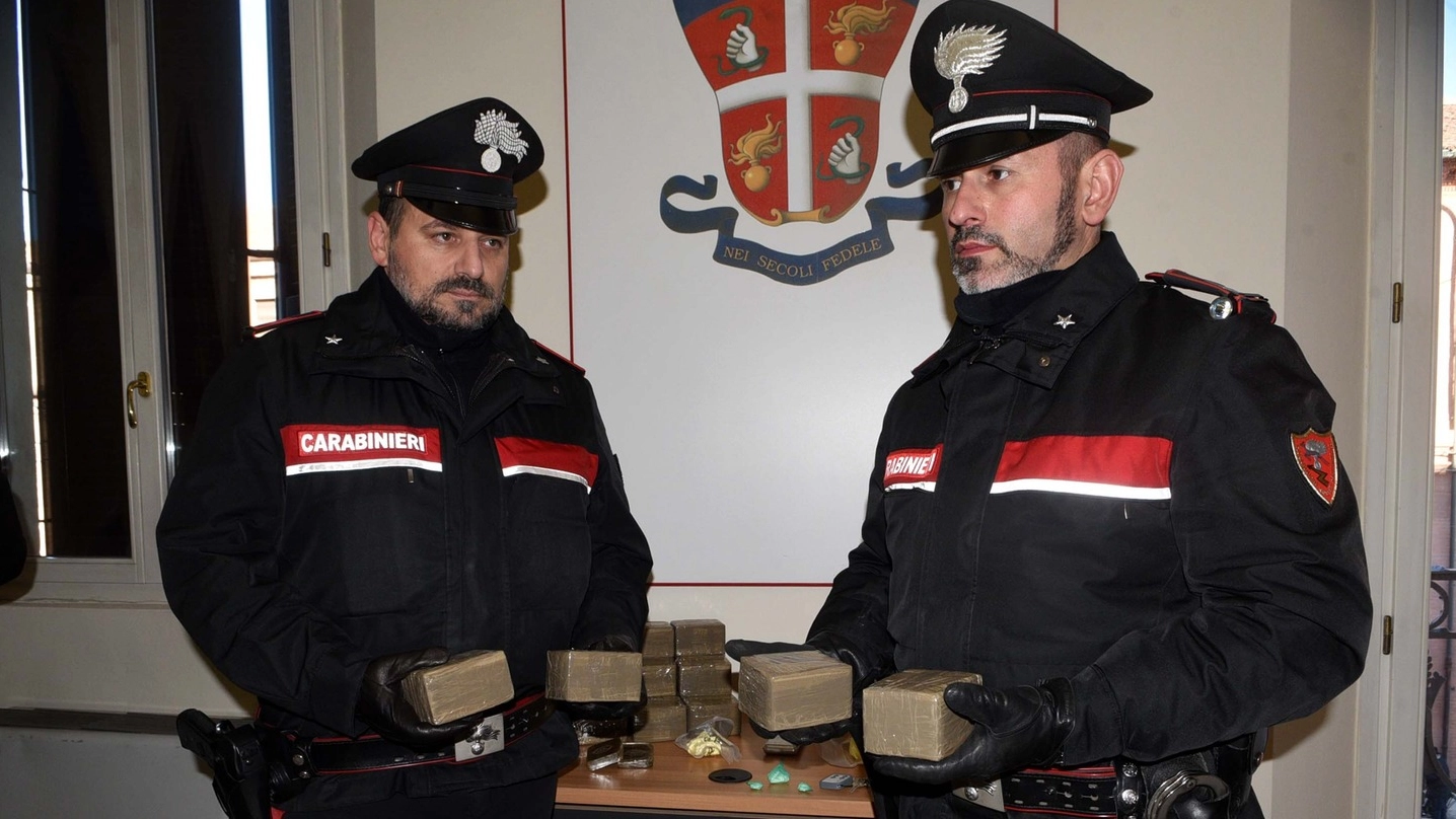 Ferrara, la droga sequestrata (Foto Businesspress)