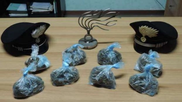 La droga sequestrata dai carabinieri: 9 dosi pronte per essere vendute per un totale di due etti