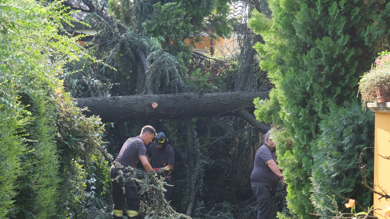 Maltempo a Modena, alberi caduti e allagamenti (fotoFiocchi)