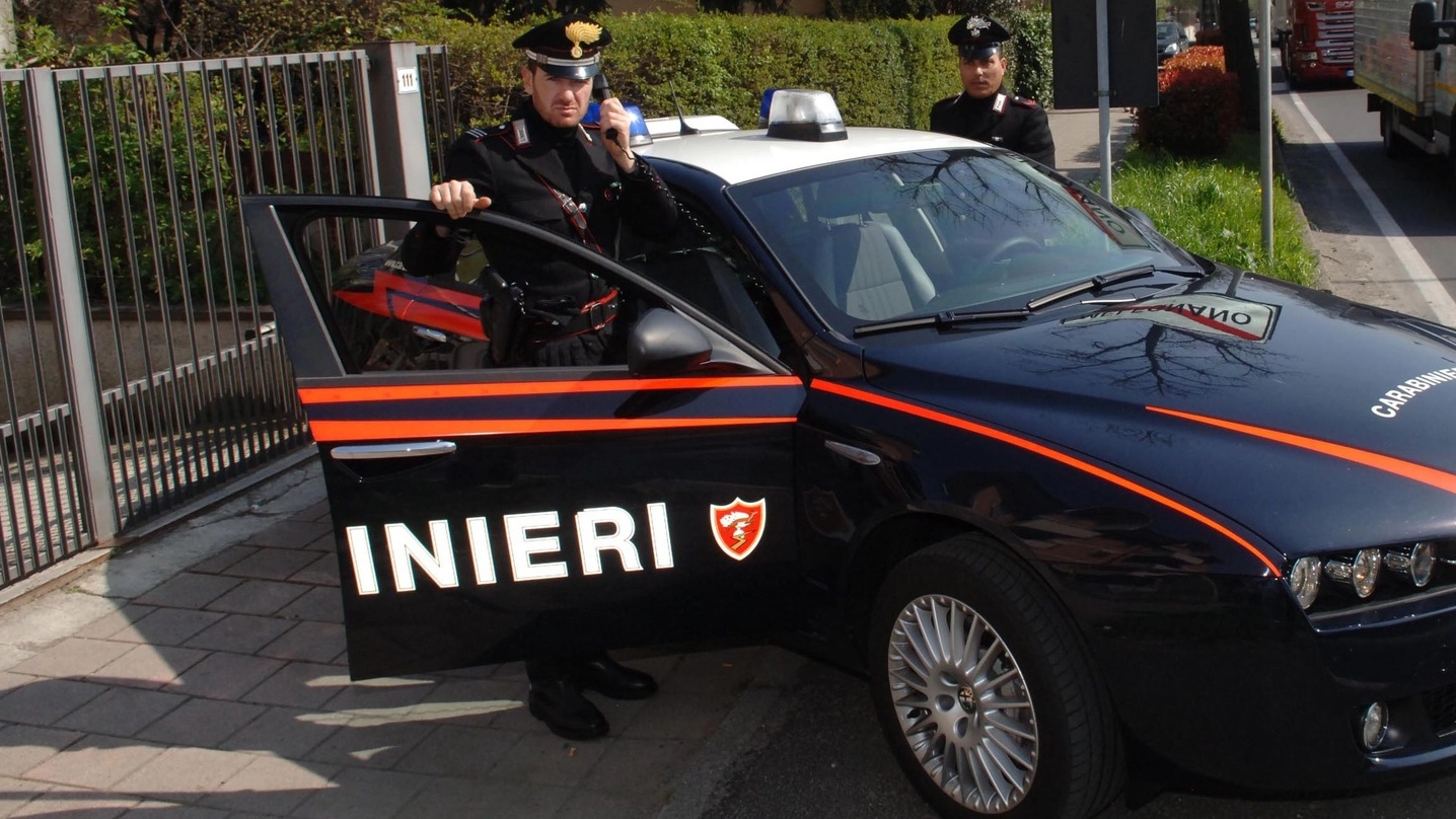 Carabinieri (Archivio Newpress)