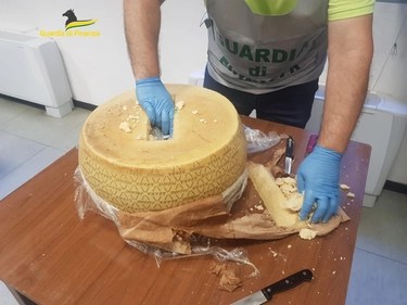 Cocaina nelle forme di formaggio, maxi operazione: 10 arresti e 125kg di droga sequestrati