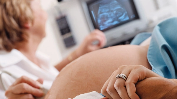 Gravidanza: donna incinta 