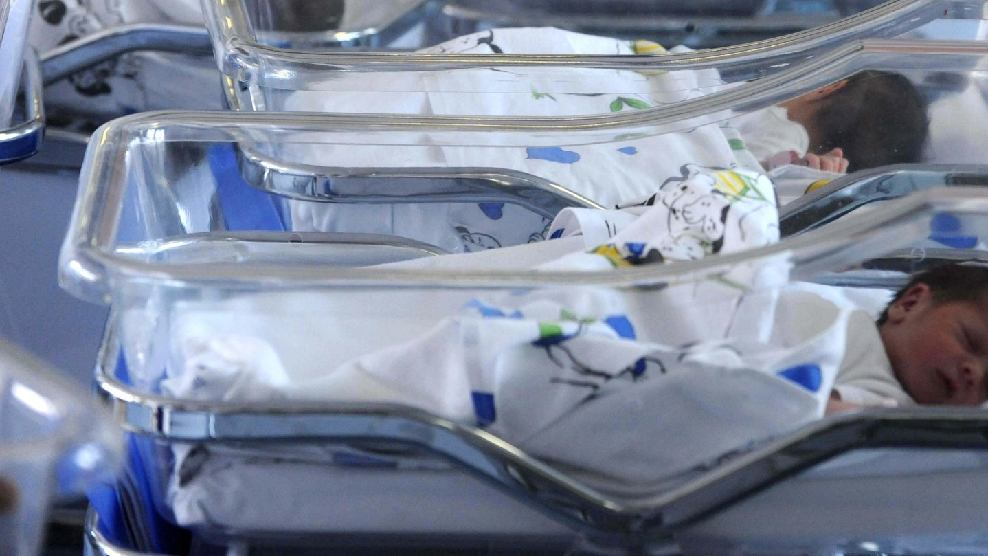 Partorisce neonato in ambulanza sull’Appennino bolognese (Imagoeconomica)