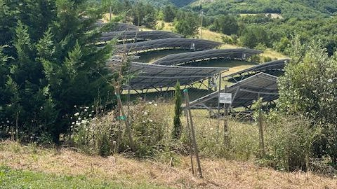 Campi fotovoltaici a Monterosso   Petizione a quota duemila firme