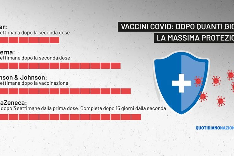 Vaccini Covid: dopo quanto la protezione