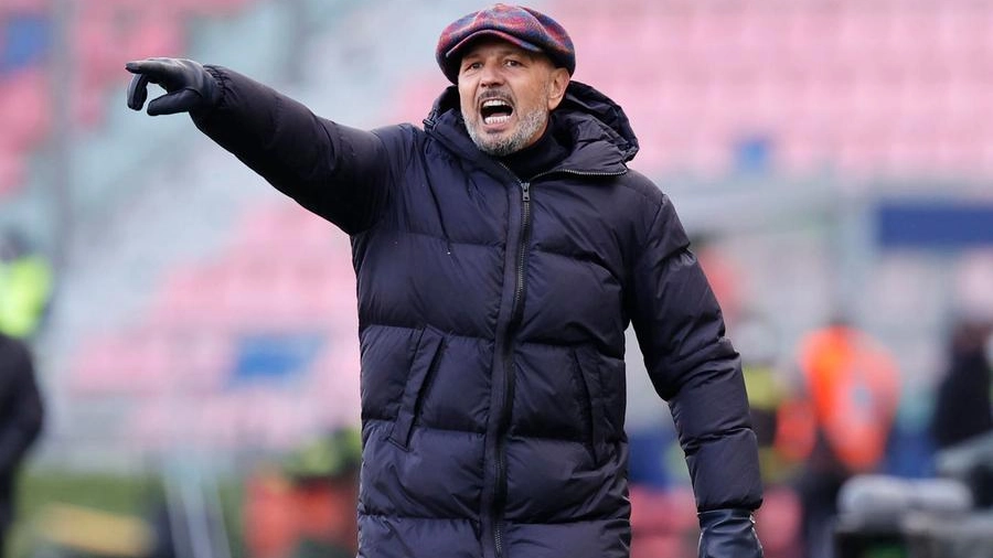 Sinisa Mihajlovic, allenatore del Bologna (Ansa)