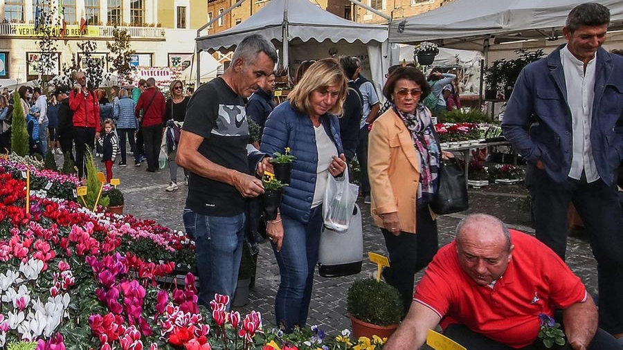 Pesaro, torna la festa dei fiori 