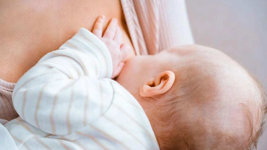 Il latte materno favorisce lo sviluppo del sistema immunitario del neonato