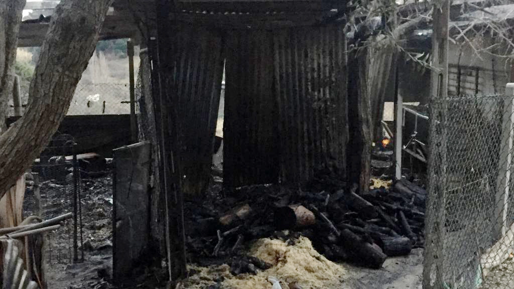 Il capannone distrutto dalle fiamme (foto Zeppilli)