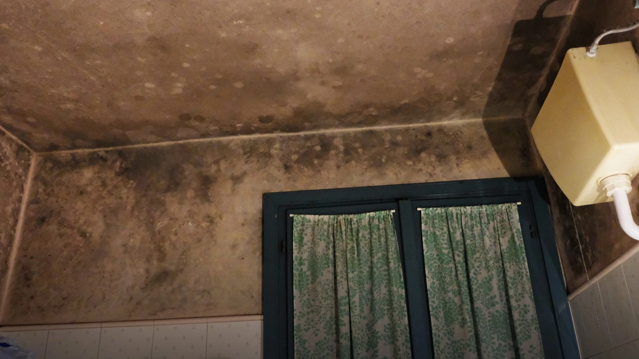 Le terribili condizioni igieniche degli appartamenti dove vivono i profughi (Foto Fiocchi