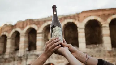 Verona, rubate 9mila bottiglie di vino Amarone del valore di oltre 300 mila euro