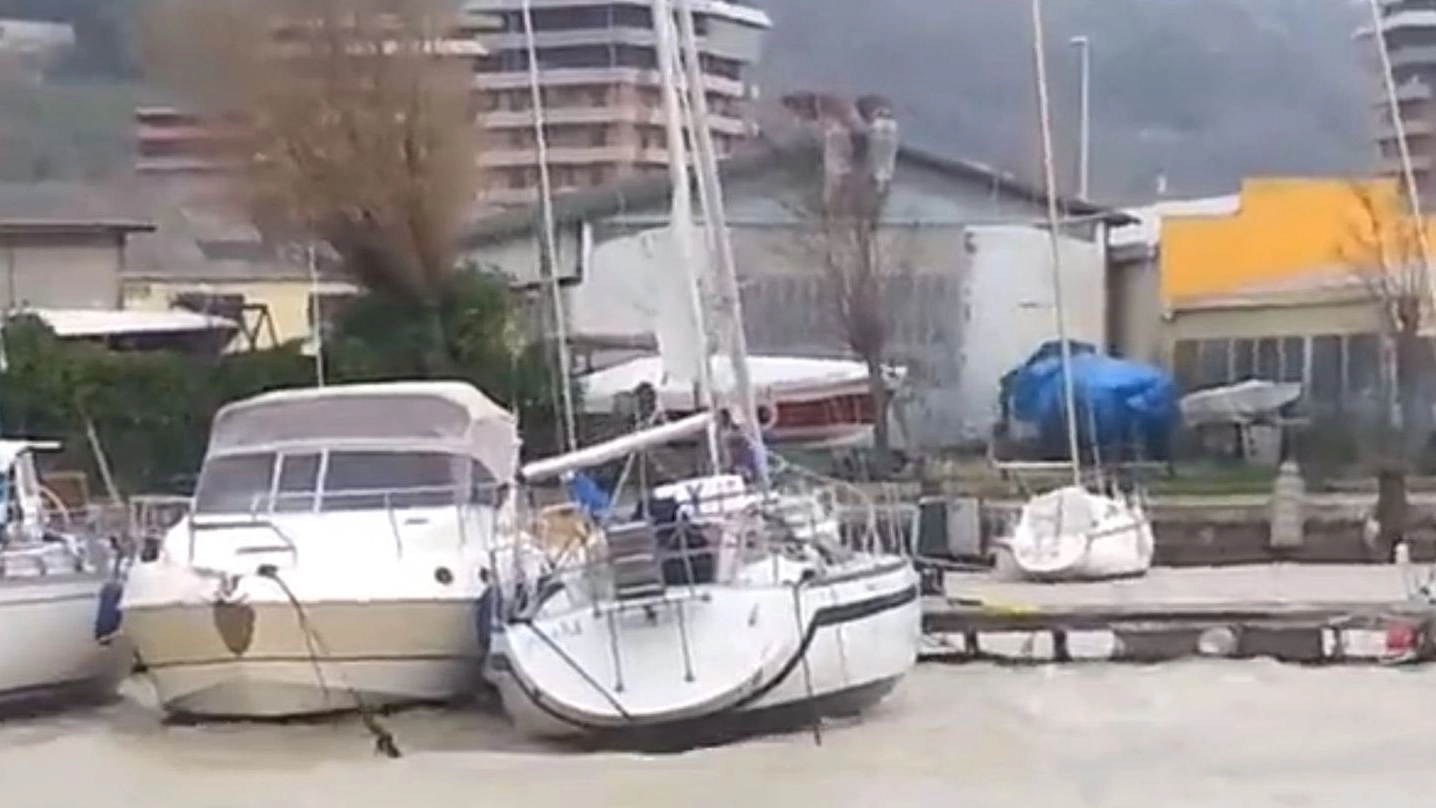 Le barche in difficoltà al porto di Pesaro