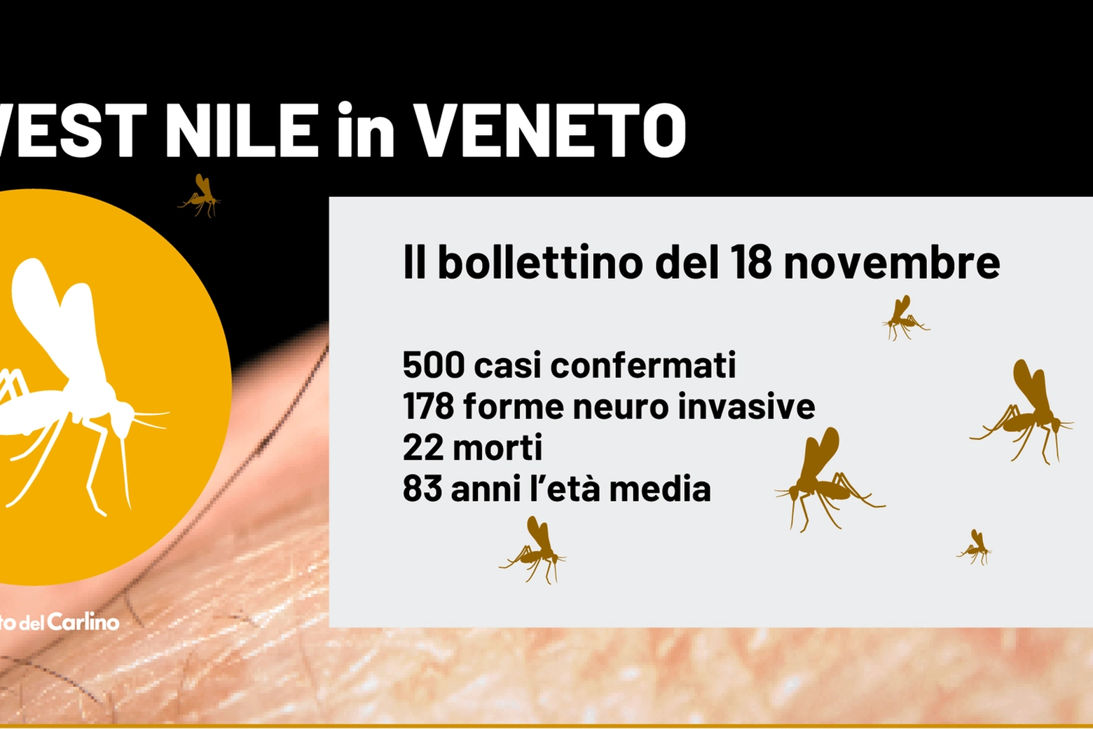 West Nile Veneto, i dati del 18 novembre 2022