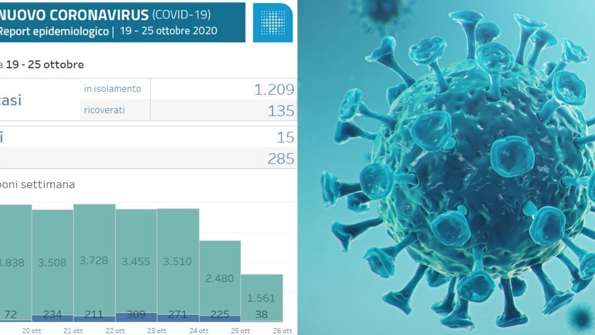 Coronavirus, il report dell'Ausl di Bologna con in grafici della settimana 19-25 ottobre