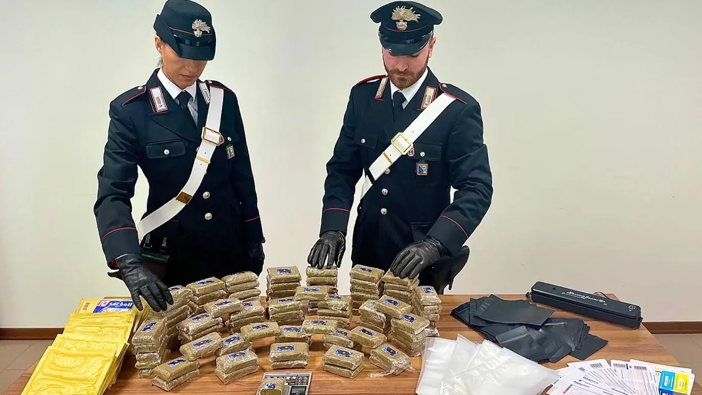 La droga sequestrata dai carabinieri di Urbino