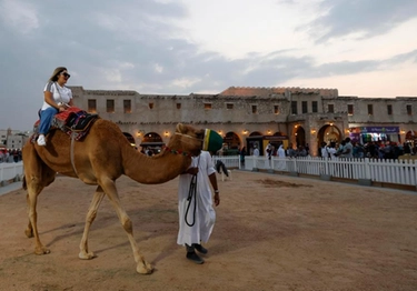 Qatar: tra Mondiali e concorso per cammelli, i timori di contagio Mers