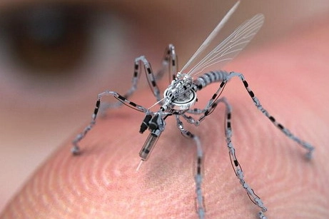 La modalità principale di trasmissione del virus è rappresentata da diverse specie di zanzare