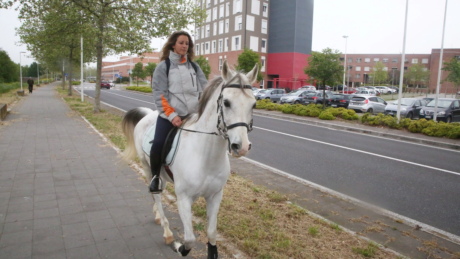 Tabita Gurioli va a lavoro a cavallo (foto Ravaglia)
