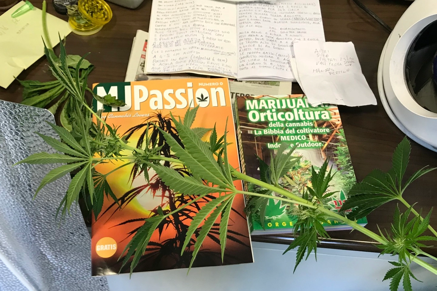 Manuali d’istruzione sulla coltivazione della marijuana
