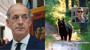 Andrea Papi ucciso dall’orso in Trentino, Zaia: “L’animale va catturato, basta discussioni”