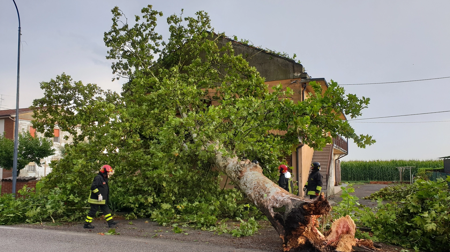 Un grosso albero è stato sradicato dal vento ed è caduto su una casa nel Bondenese