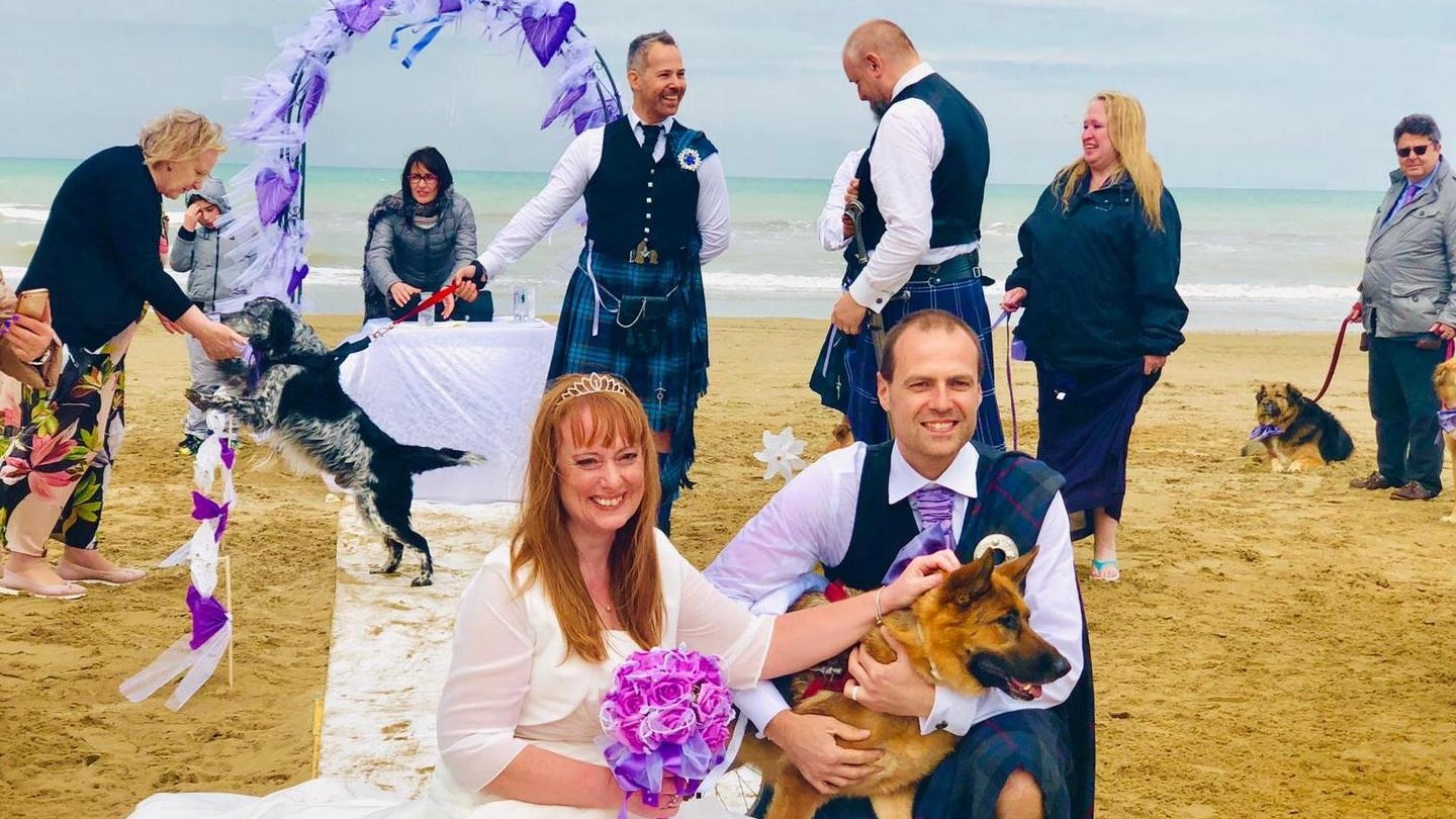 Il matrimonio in spiaggia con i cani