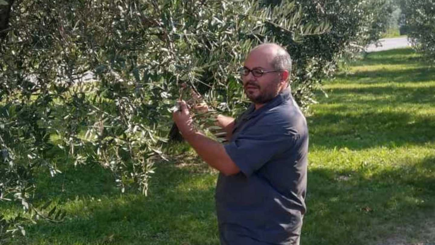 Cristiano Contisciani, tecnico esperto olivicolo