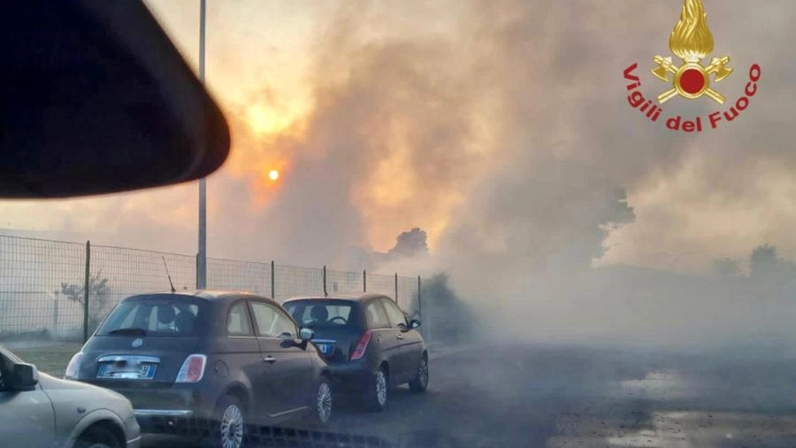 Incendio boschivo a Campomarino Lido, evacuate oltre 400 persone (Ansa)