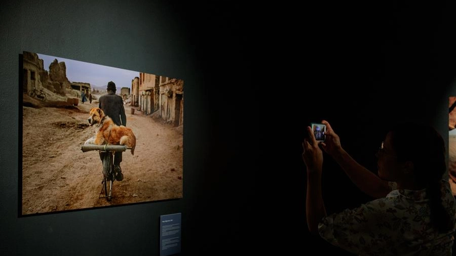 La mostra di Steve McCurry a Bologna (foto Schicchi)