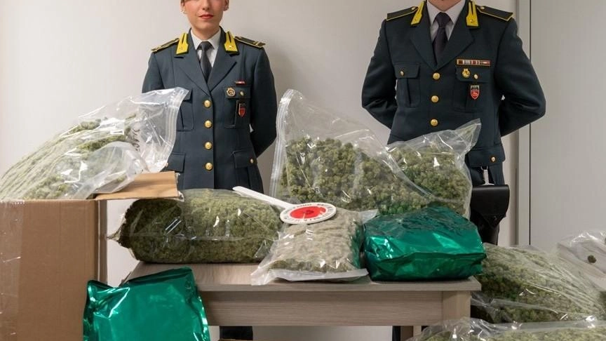 Trasportava 52 chili di marijuana, fingeva fosse per l’industria farmaceutica