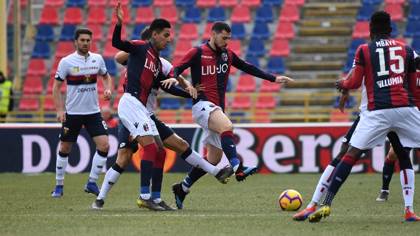 Bologna Fc, un momento del match col Genoa finito 1-1 (FotoSchicchi)