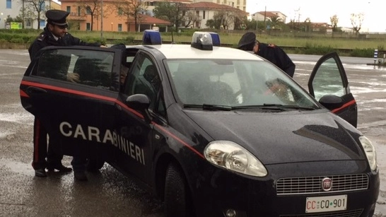Carabinieri (foto Petrelli)