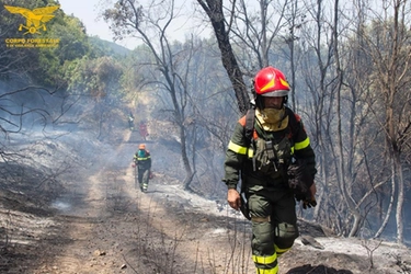 Siccità in Veneto, pericolo incendi nei boschi. Zaia: "Stato di emergenza fondamentale"