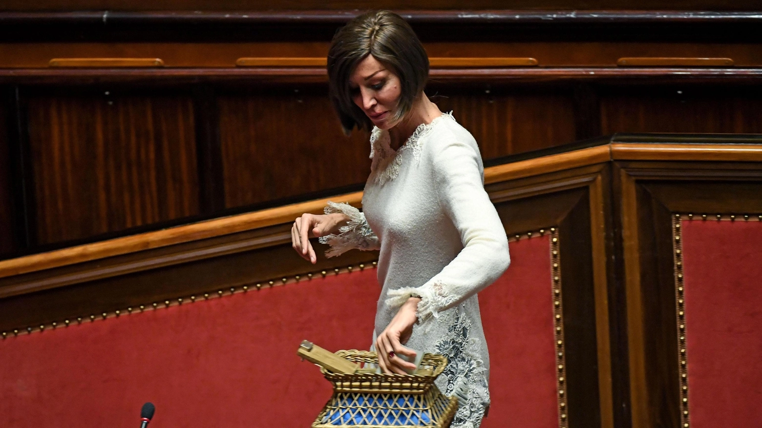 Anna Maria Bernini oggi in Senato 