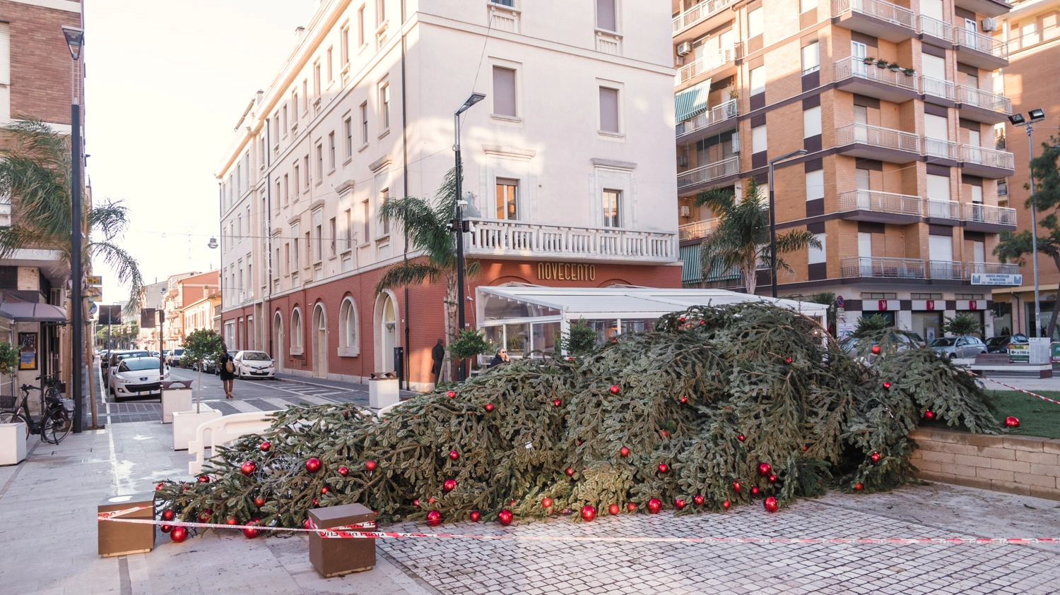 L'albero di Natale piegato a Porto San Giorgio (foto Zeppilli)