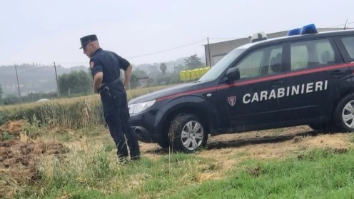 I carabinieri forestali controllano le grosse impronte trovate dai residenti a Montalto