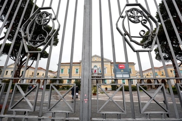 Vaiolo delle scimmie in Italia: c'è il primo caso. Cosa dicono gli esperti