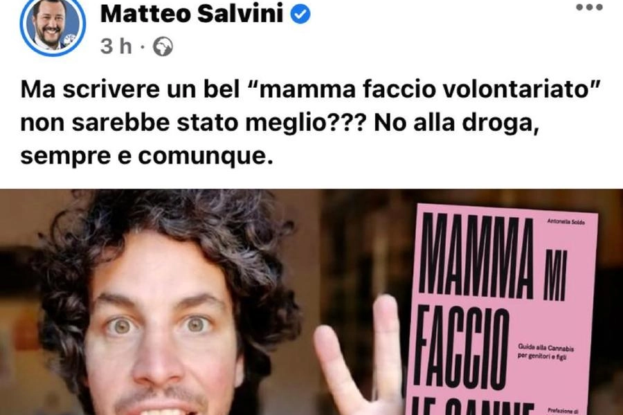 Cannabis, Salvini attacca Santori tramite tramite la sua pagina Facebook