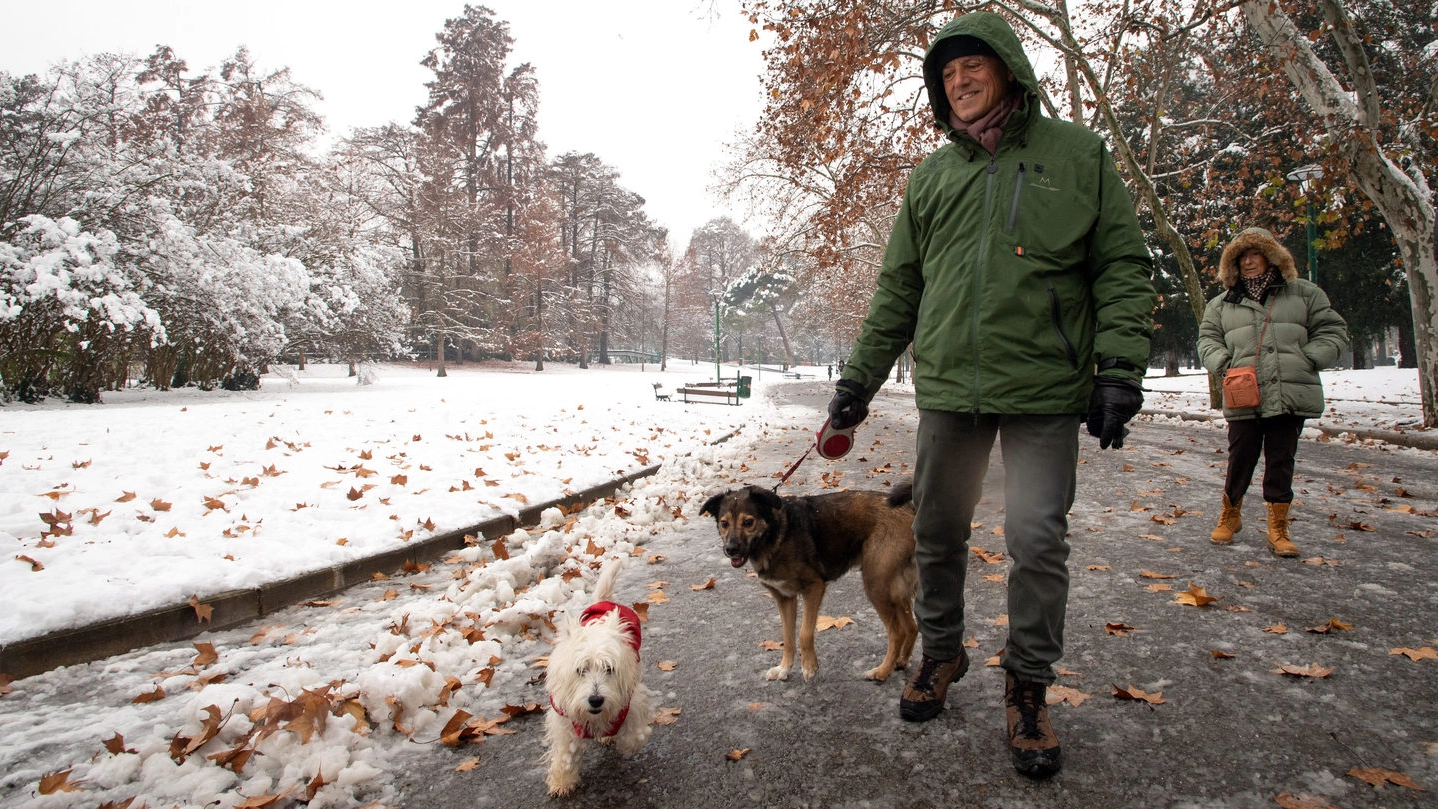 Cani e padroni si divertono nella neve ai Giardini Margherita dopo la nevicata dello scorso dicembre