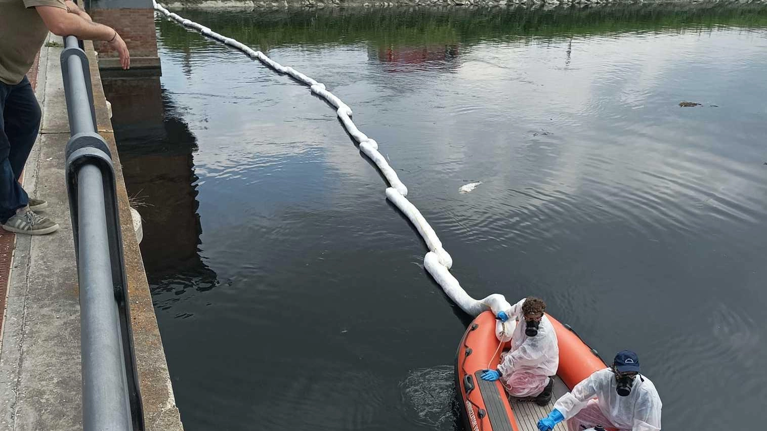 Recuperati 50 quintali  di pesci morti nel canale