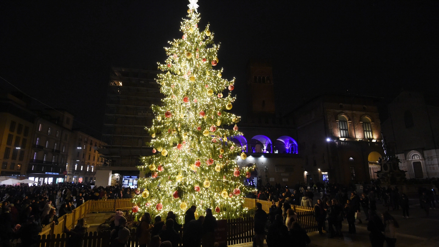 L'albero di Natale 2018 a Bologna (FotoSchicchi)