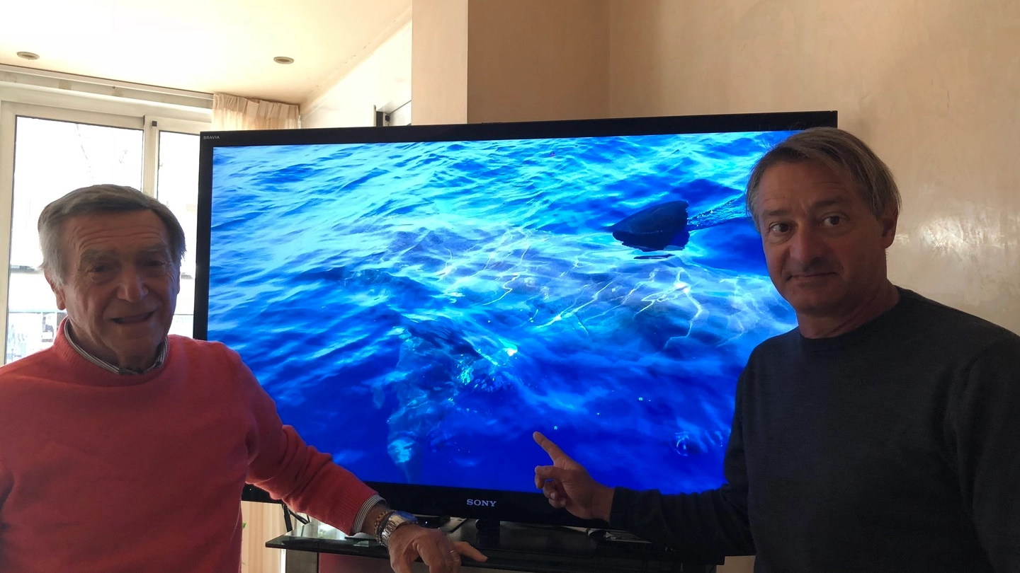 Gino Allegri e Lorenzo Fraiese hanno avvistato lo squalo al largo di Rimini