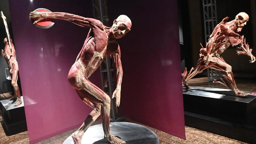 Real Bodies Experience a Palazzo Pallavicini