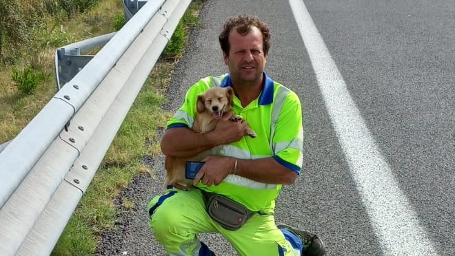 Il cagnolino salvato in superstrada