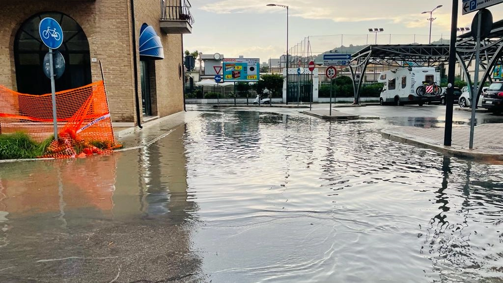 La pioggia è scesa pesantemente nelle province di Ancona, Macerata, Fermo e Ascoli: alberi e rami in strada