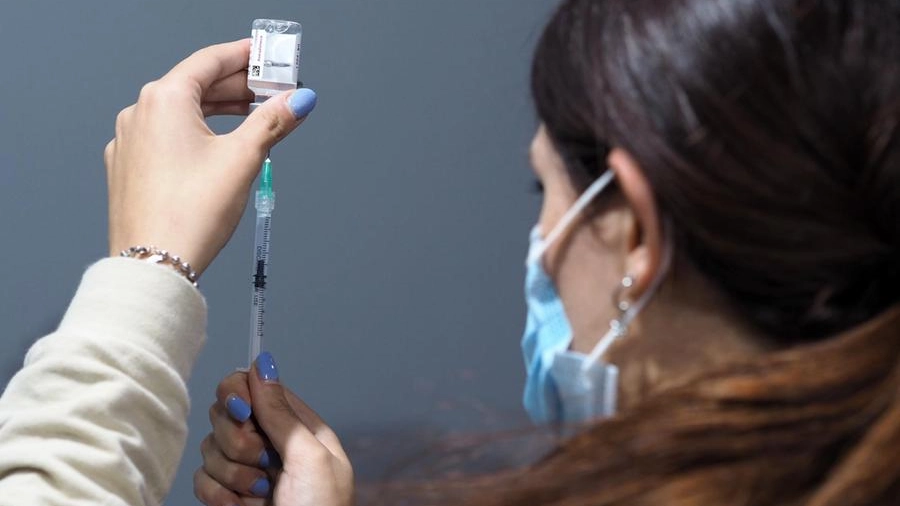 Vaccino a Bologna, le ultime notizie